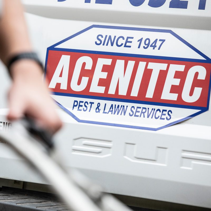 Offering Pest Control and Lawn Services since 1947 | Acenitec